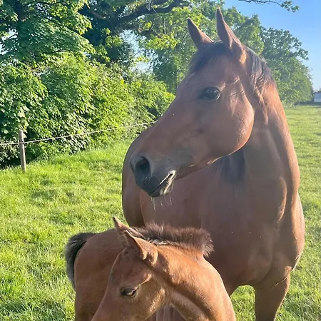 Διαμέρισμα Cosy Country Near Emerald Park