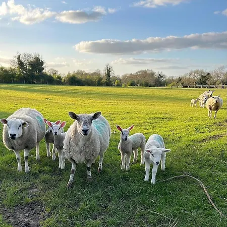 Cosy Country Near Emerald Park * Dunshaughlin