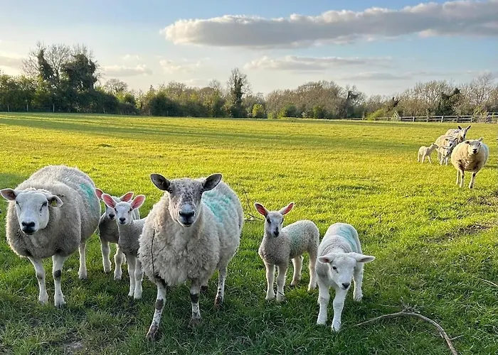 Cosy Country Near Emerald Park * Dunshaughlin